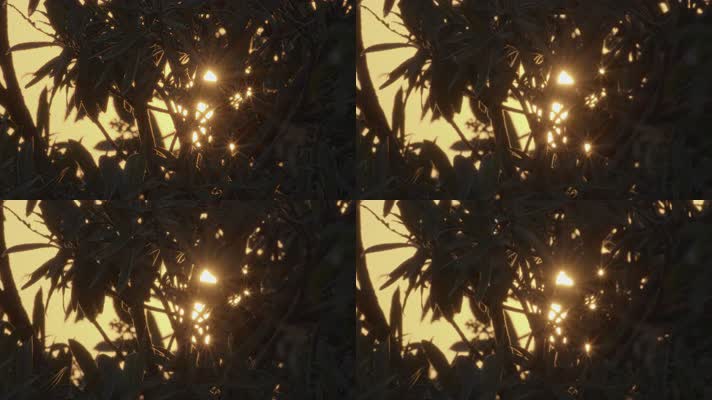 夕阳星芒升格4K实拍空镜