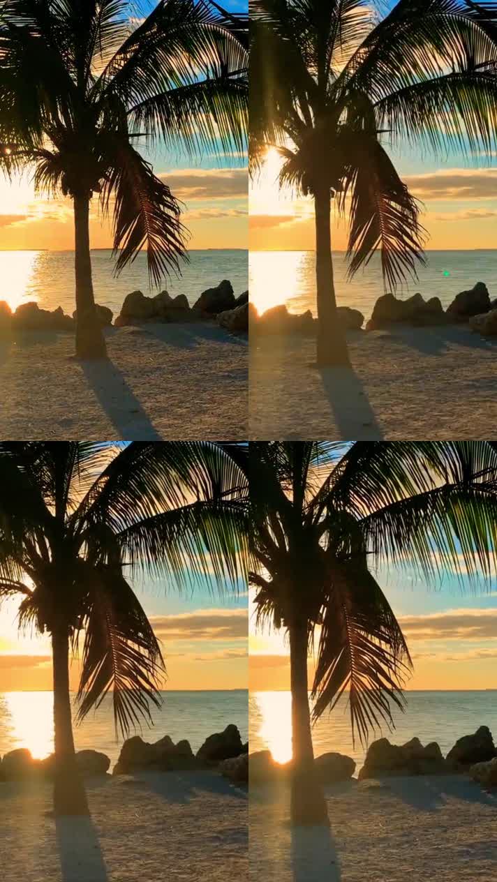 竖屏海边日落椰子树阳光唯美