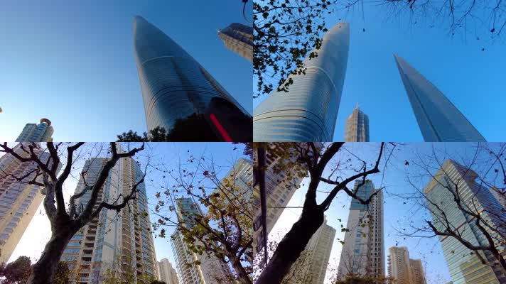 透过树枝叶子仰望高楼大厦城市风景4