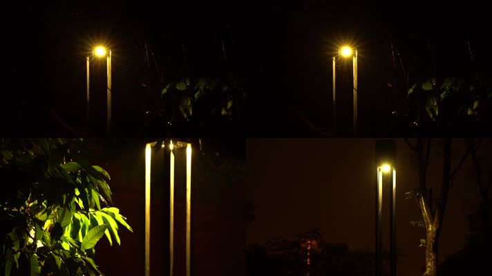 雨天夜晚雨滴树叶路灯