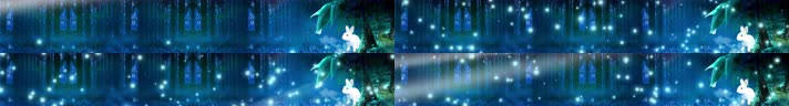 森林兔子04