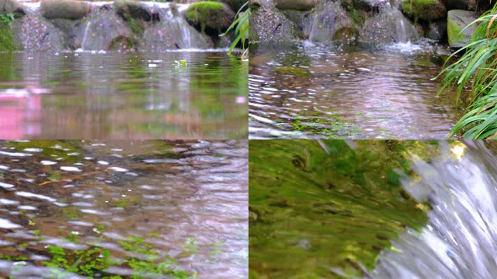 杭州植物园小溪流水