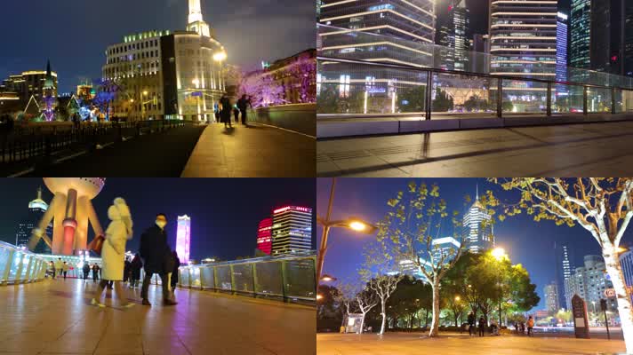 上海市闹市街头夜晚人流延时摄影