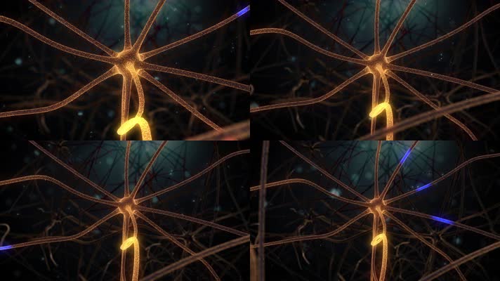 脑神经元活动信息-缩放神经元视频