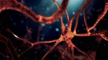 脑神经元专业视频