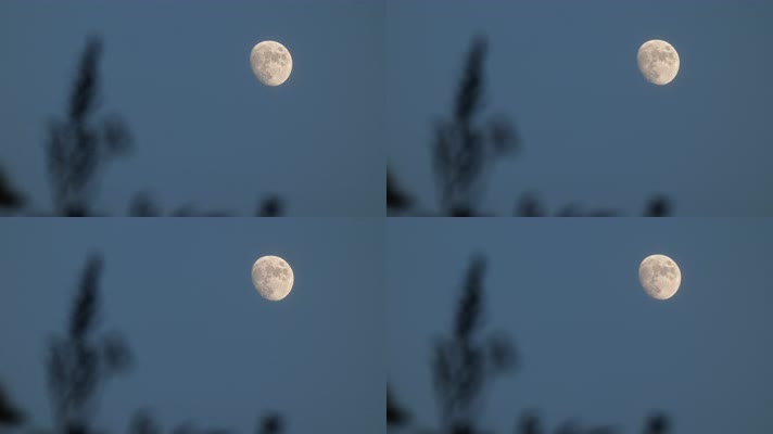 唯美月亮实拍镜头