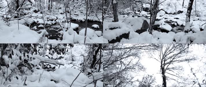 冬季森林溪流积雪雪景合集