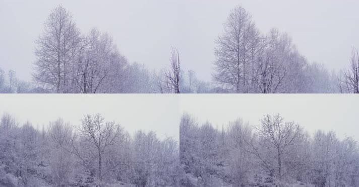 冬季森林大雪漫天雪花飘落