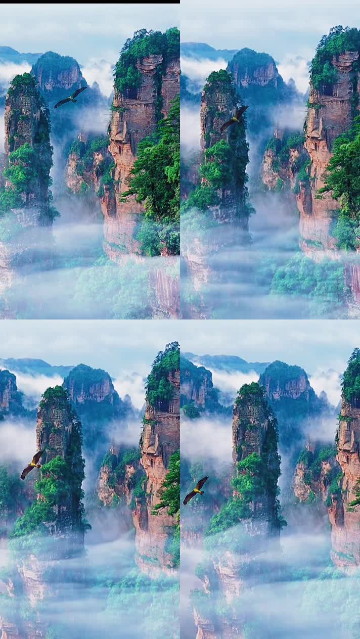 竖版手机视频自然风景 (235)手机竖版自然风景山洞乡村美景