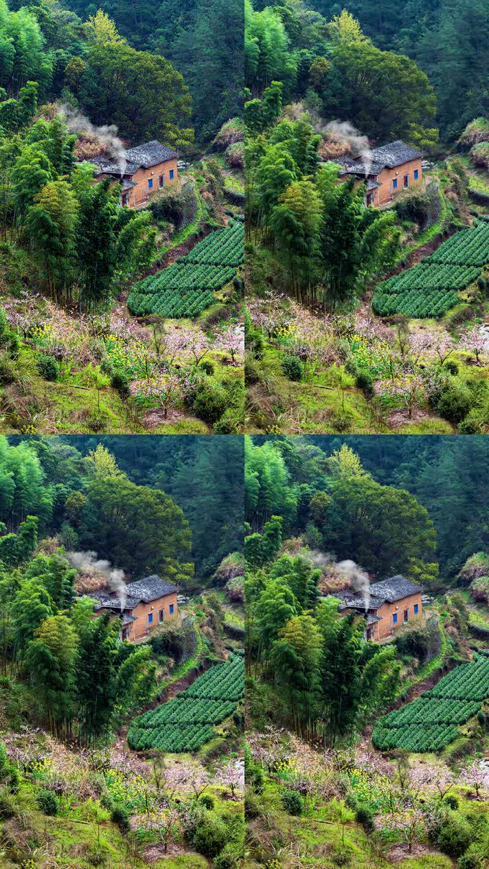 竖版手机视频自然风景 (164)手机竖版自然风景山洞乡村美景