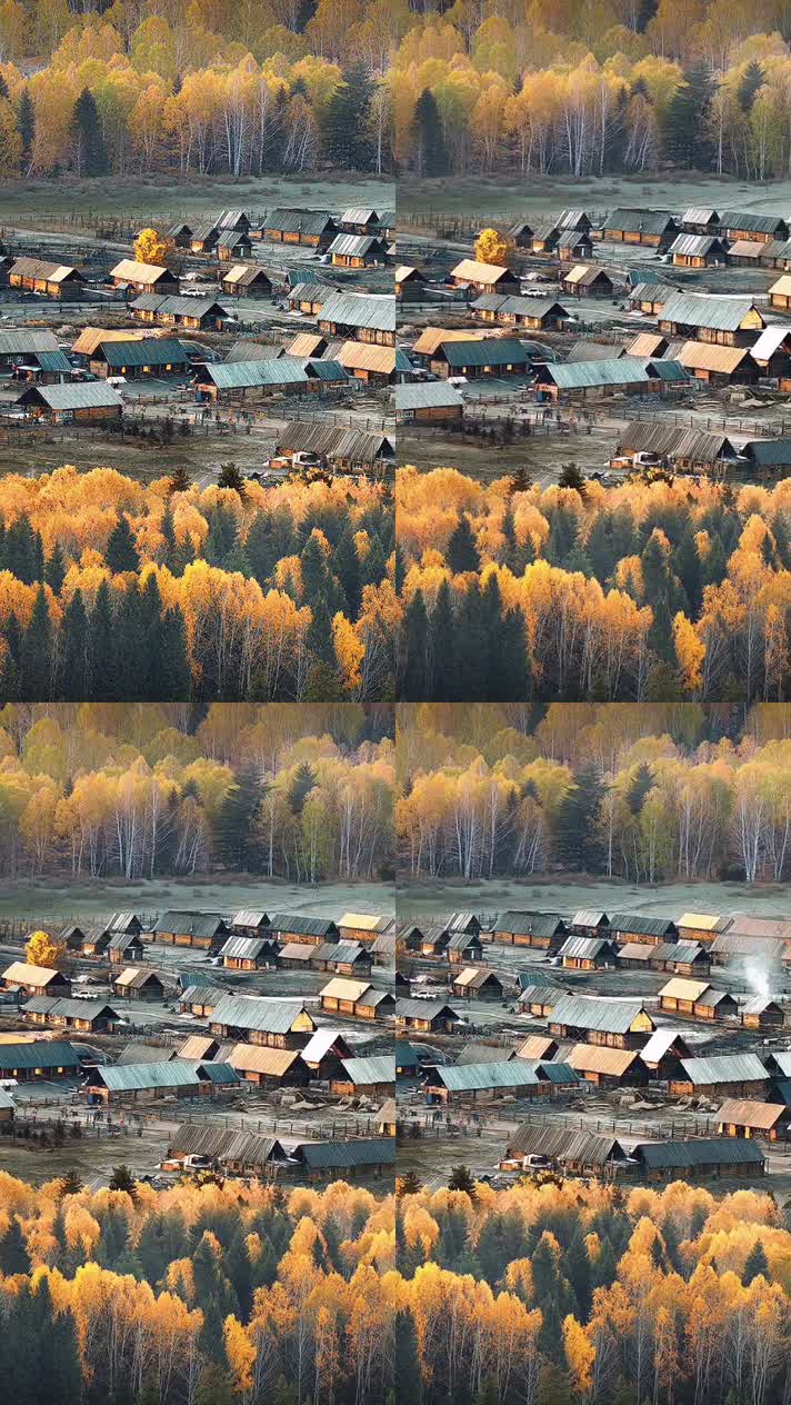 竖版手机视频自然风景 (161)手机竖版自然风景山洞乡村美景
