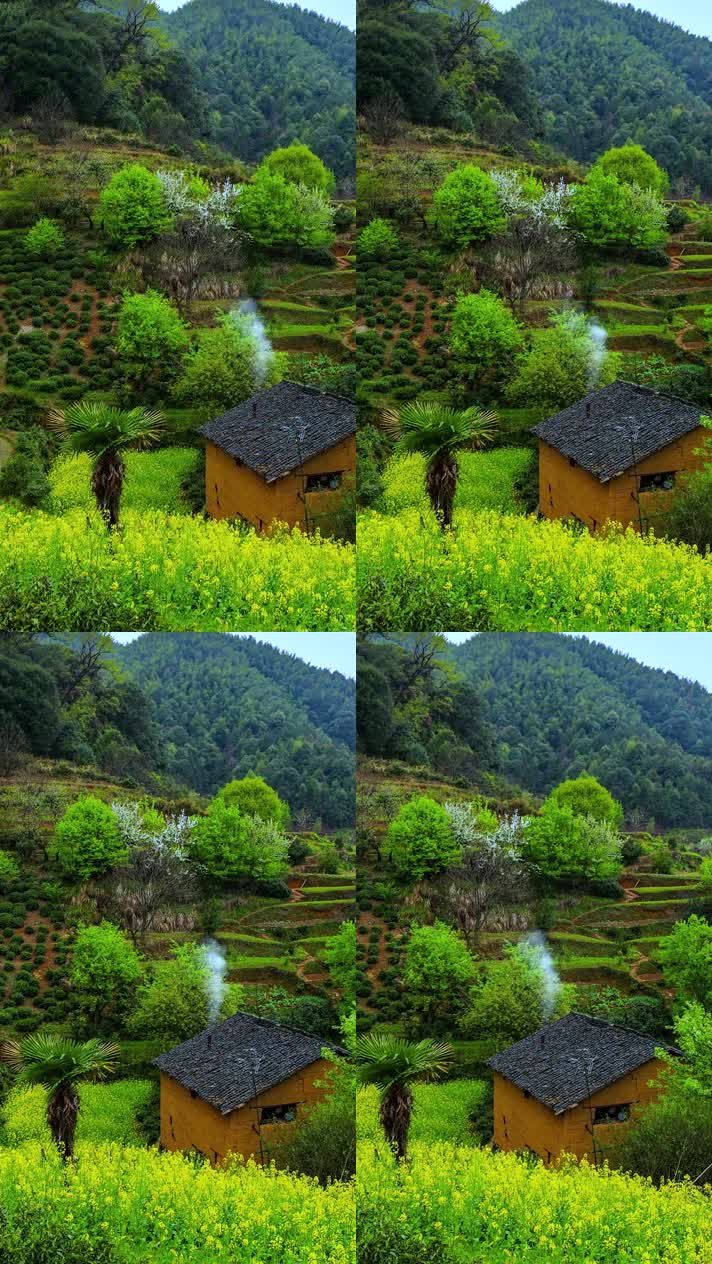 竖版手机视频自然风景 (232)手机竖版自然风景山洞乡村美景