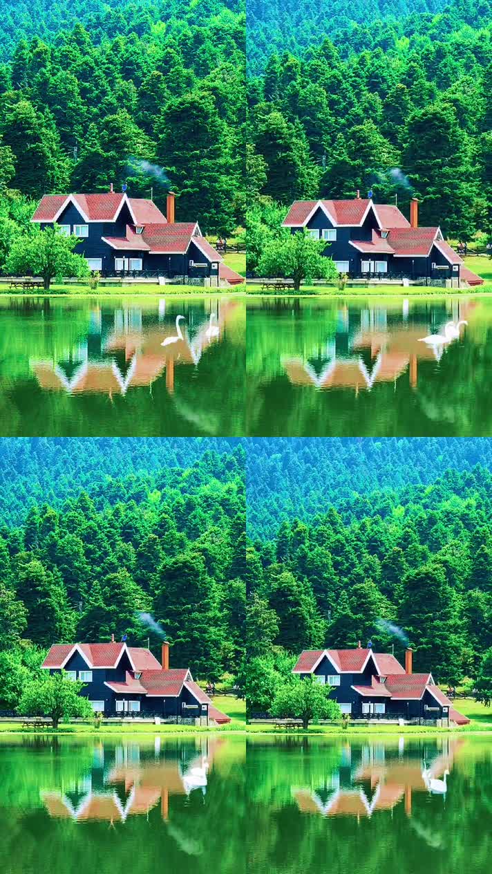 竖版手机视频自然风景 (231)手机竖版自然风景山洞乡村美景