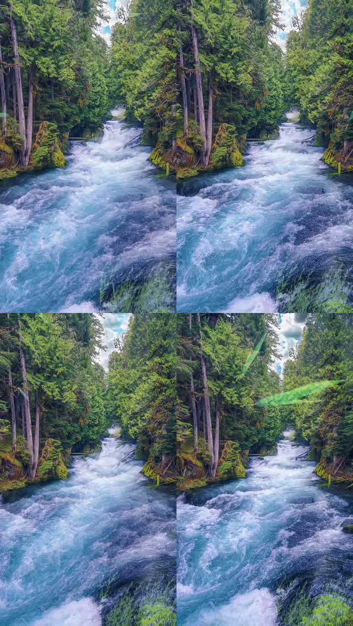 竖版手机视频自然风景 (268)手机竖版自然风景山洞乡村美景