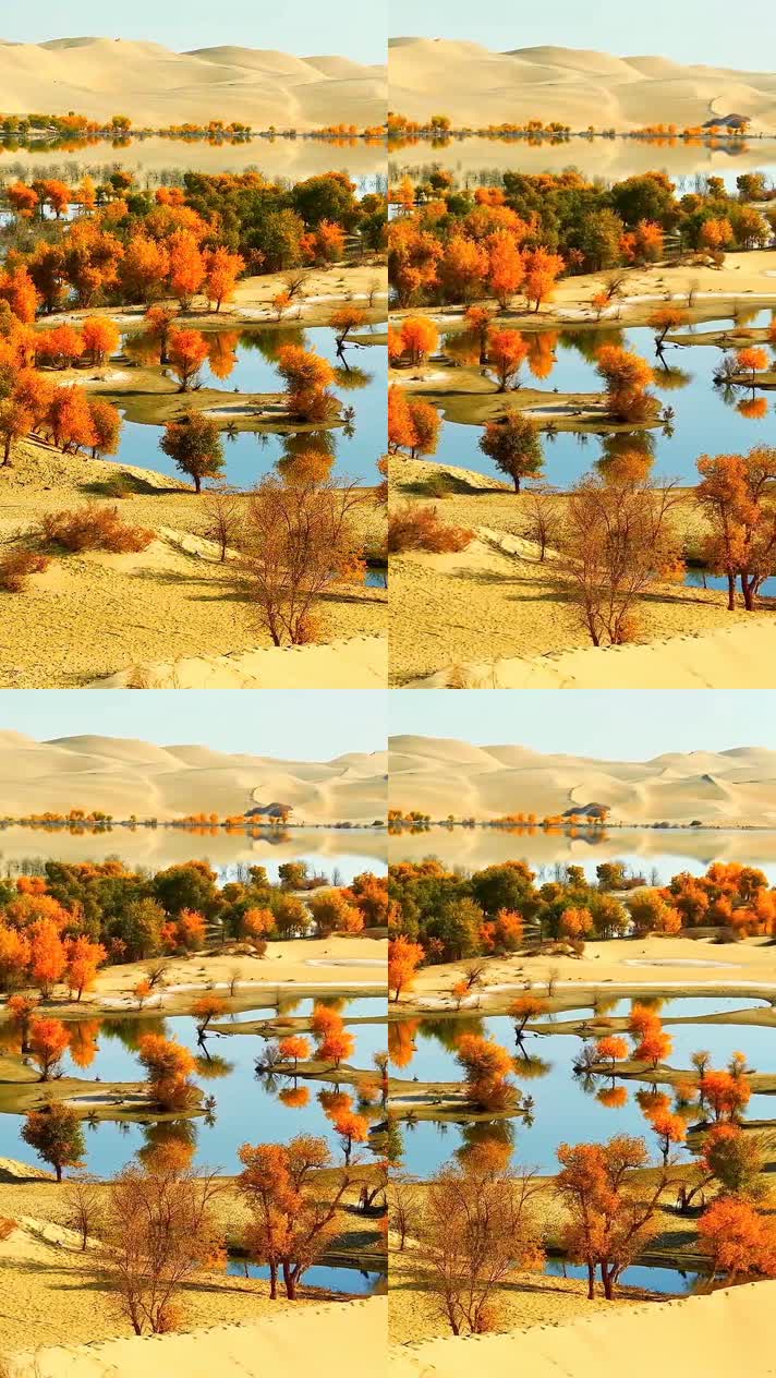 手机竖版自然风景山水乡村美景  (454手机竖版自然风景山水乡村美景