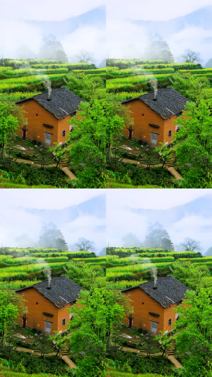竖版手机视频自然风景 (148)手机竖版自然风景山洞乡村美景
