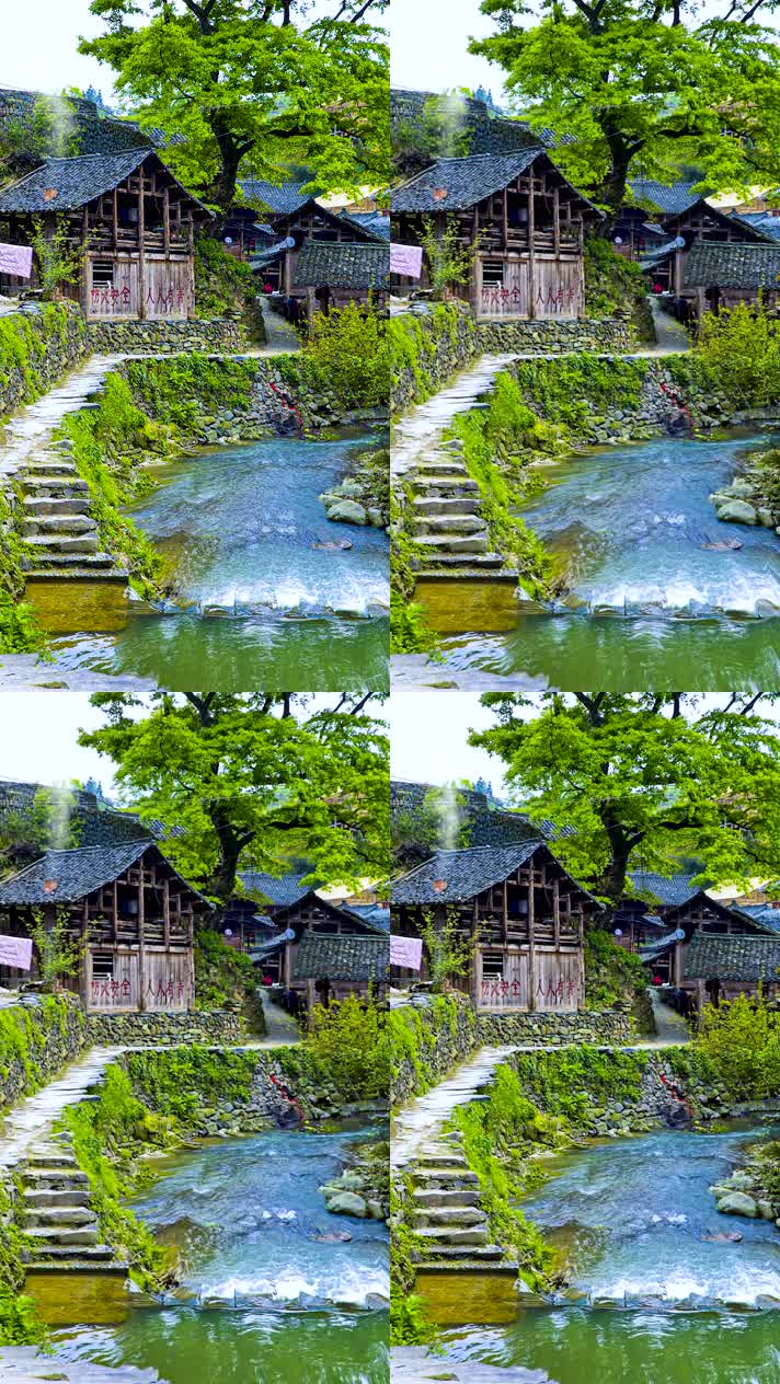 竖版手机视频自然风景 (251)手机竖版自然风景山洞乡村美景