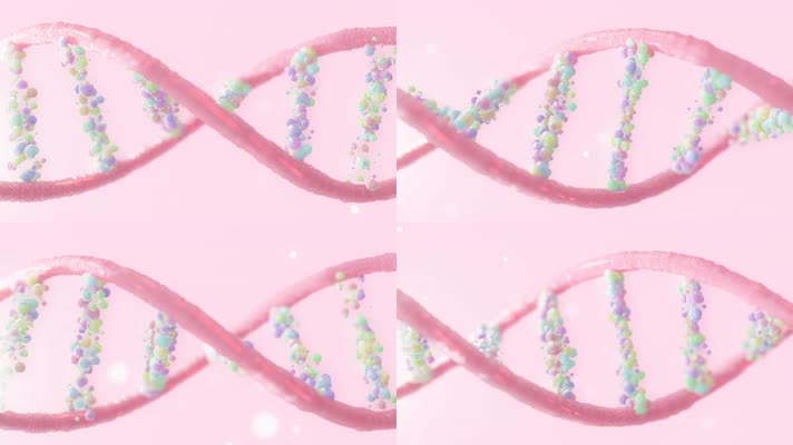 3D粉色DNA螺旋 科学或医学背景4K