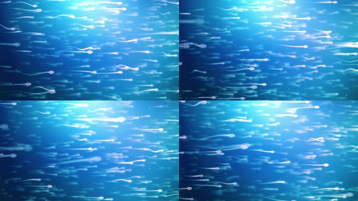 动画精子细胞游泳视频4K