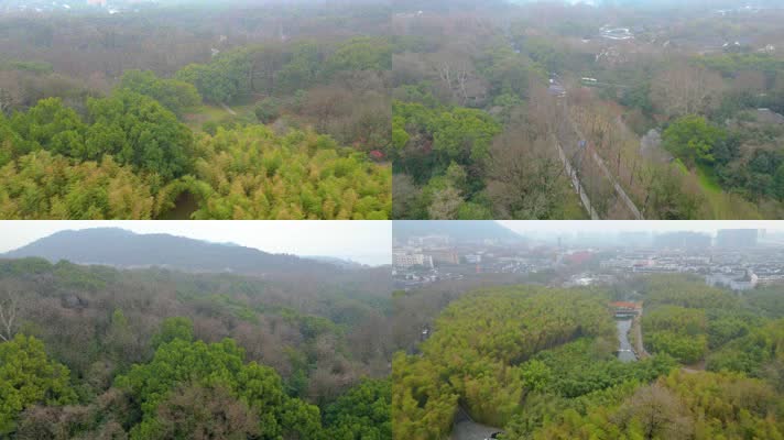 杭州植物园风景航拍
