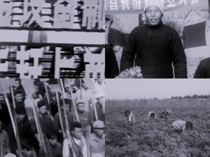 新中国农民 集体 劳动