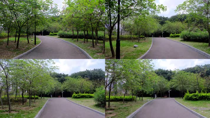 江南公园绿荫休闲步道