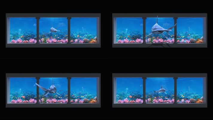 标准8K 出框鱼缸出屏裸眼3d视频素材