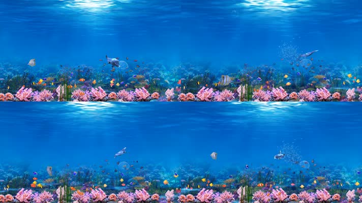 艳丽色彩深海4K海底世界沉浸式显示屏素材