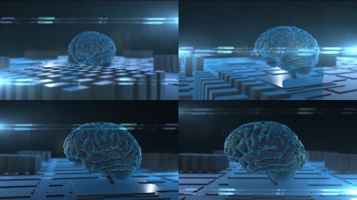 大脑、数字大脑、科技大脑