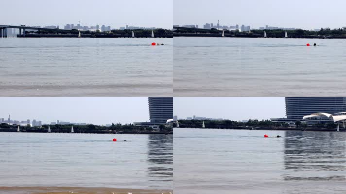五缘湾内夏天中午游泳的人和帆船高清