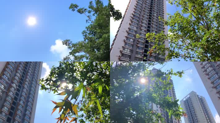 4K夏天阳光树叶、太阳小清新视、夏季空镜