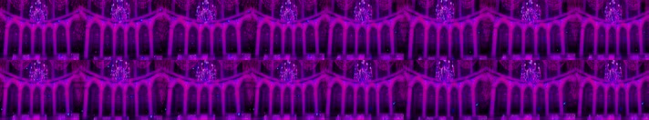欧美紫色大厅4