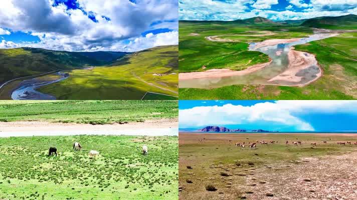 西藏塔公草原自然风光