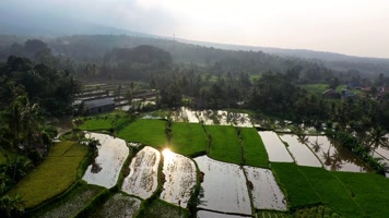农田水田、稻田田地、梯田耕地、丰收、新农
