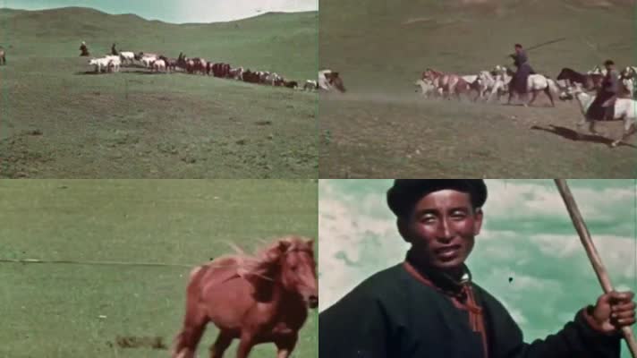 内蒙古少数民族锡林郭勒盟草原畜牧业牧场