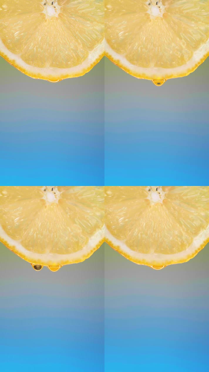 柠檬滴水下来 适合空境