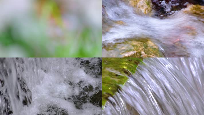 杭州植物园公园小溪流水大自然风景风光视频