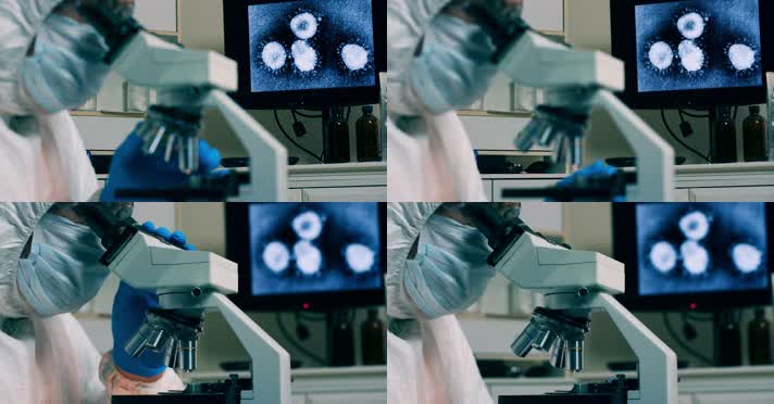 显微镜下的冠状病毒、屏幕上显示的病毒