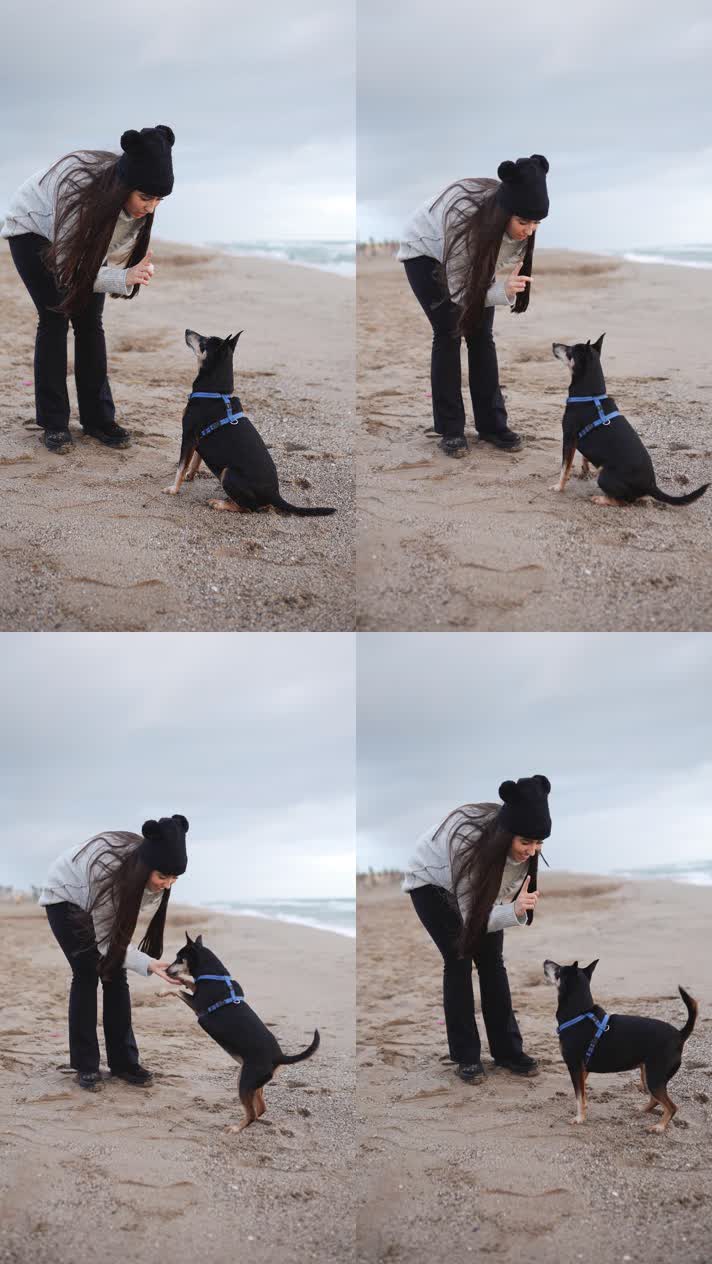 竖屏、沙滩上女孩在逗狗狗