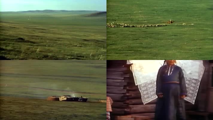 内蒙古蒙古族生产兵团养殖牲畜羊群骑马
