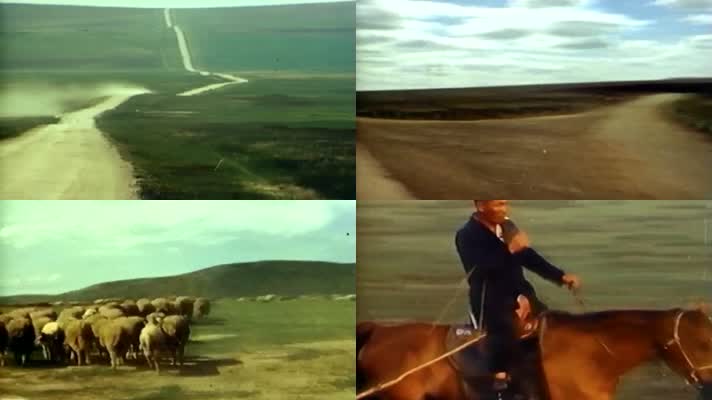 新疆生产建设兵团草原牧场畜牧业养殖骑马