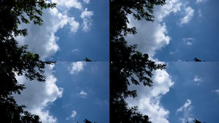 躲在树下仰望蓝天白云层延时摄影