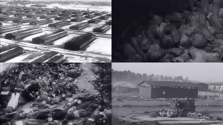 第二次世界大战美军解放奥斯维辛集中营