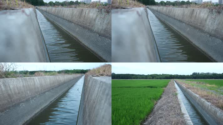 水渠 灌溉 农业 水利 新农业 调水 水