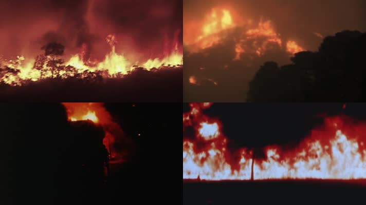 70年代森林山林山区火灾山火烧毁树木 