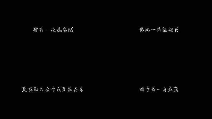 柳爽 - 玫瑰窃贼（1080P）