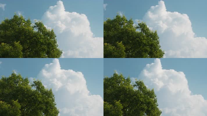 超大云彩云朵蓝天白云绿树