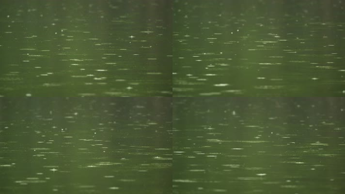 碧绿的水塘下雨水滴水花涟漪
