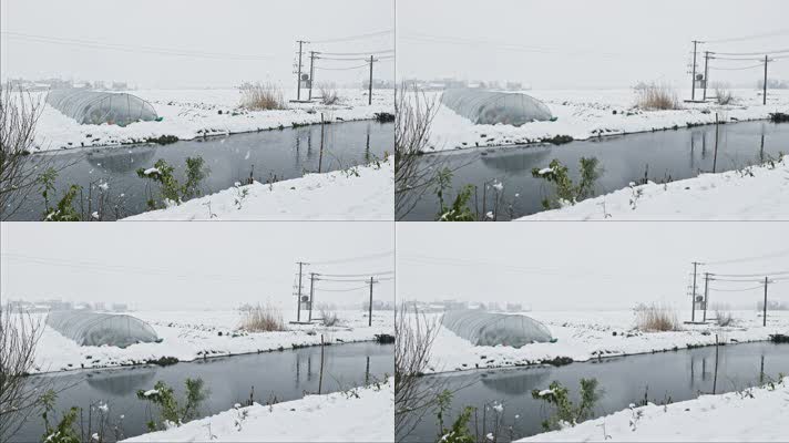 农村鹅毛大雪田野被白雪覆盖