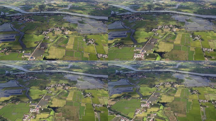 无人机航拍俯瞰河流乡村水稻